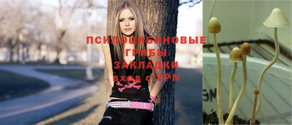 стафф Баксан