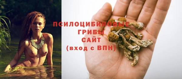 амф Балабаново