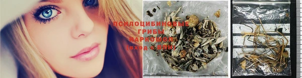 стафф Баксан