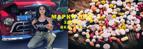 стафф Баксан