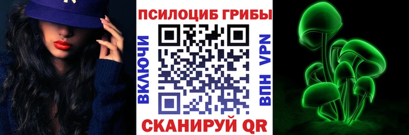 Купить  Михайловск  Галлюциногенные грибы GOLDEN TEACHER 