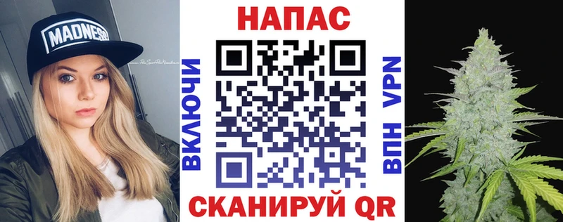 Бошки марихуана OG Kush  Купить  Михайловск 